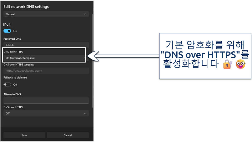 Screenshot of the custom DNS settings on Windows 11